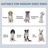 Pet Food Storage Container Dog Feeding Station w/ Adjustable Panel, Hooks, for Medium Sized Dogs, Black
